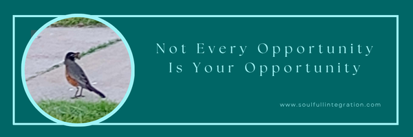 Picture of robin with a worm in its mouth with the title: Not Every Opportunity is Your Opportunity